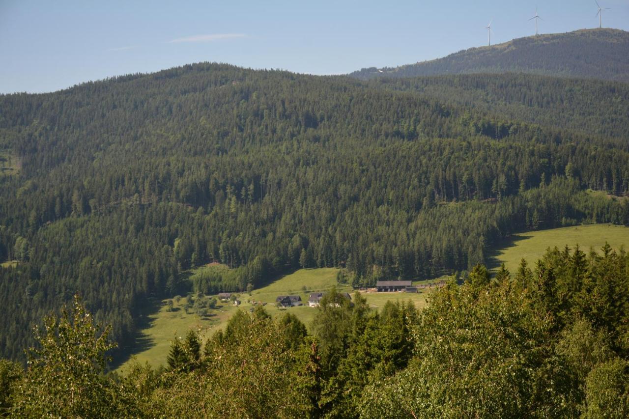Ferienhaus Kristina/Hebalm Deutschlandsberg Εξωτερικό φωτογραφία